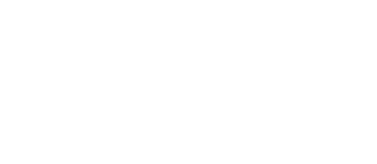 PLM LUBRICANTS